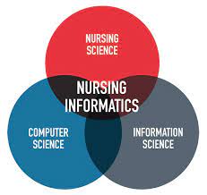 NURS-FPX4040 Assessment 1 Nursing Informatics in Health Care